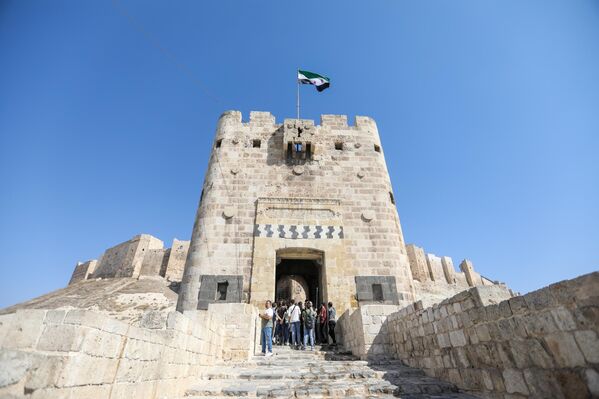 مجموعة من الزوار  أمام قلعة حلب الأثرية. - سبوتنيك عربي