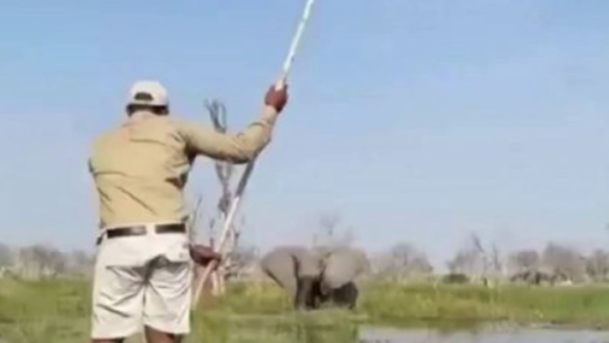 نجاة سائحين أمريكيين وبريطانيين من هجوم شنه فيل عليهم في دلتا أوكافانغو ببوتسوانا... فيديو