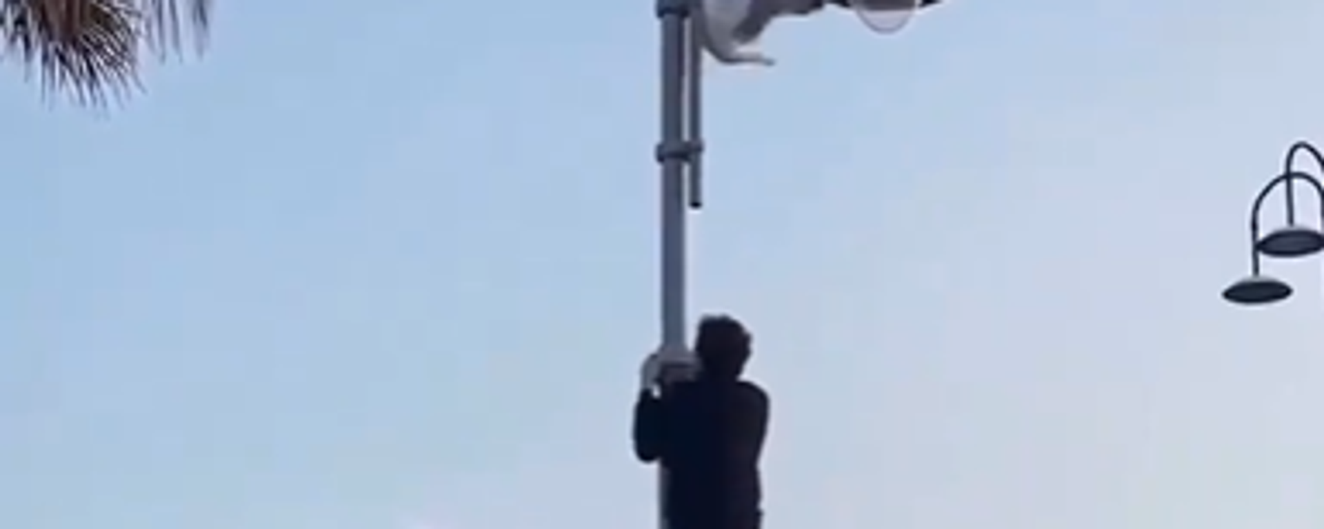 شاب ينقذ طائر صغيرعلق داخل عمود إنارة - سبوتنيك عربي, 1920, 05.10.2025