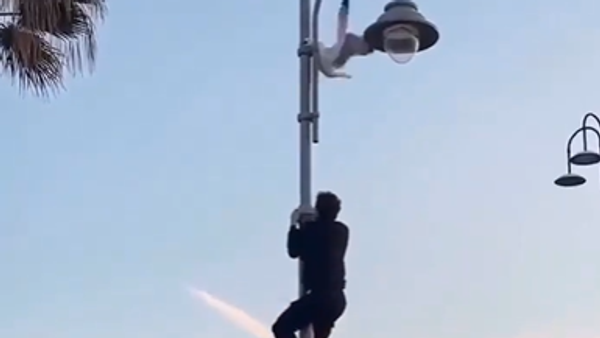 شاب ينقذ طائر صغيرعلق داخل عمود إنارة - سبوتنيك عربي