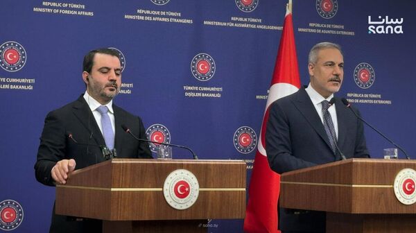 وزيرا خارجية سوريا وتركيا - سبوتنيك عربي