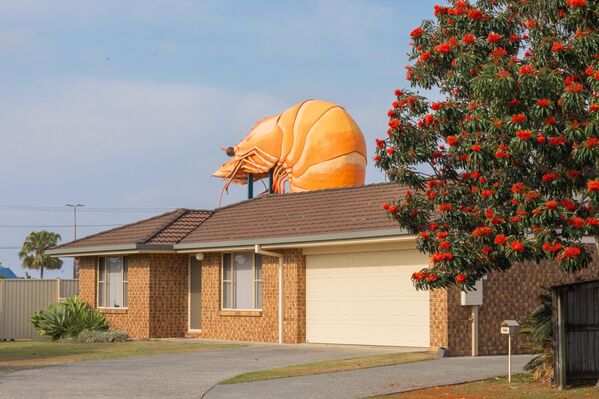 تمثال الروبيان العملاق، فوق متجر بونينغ، أستراليا - سبوتنيك عربي