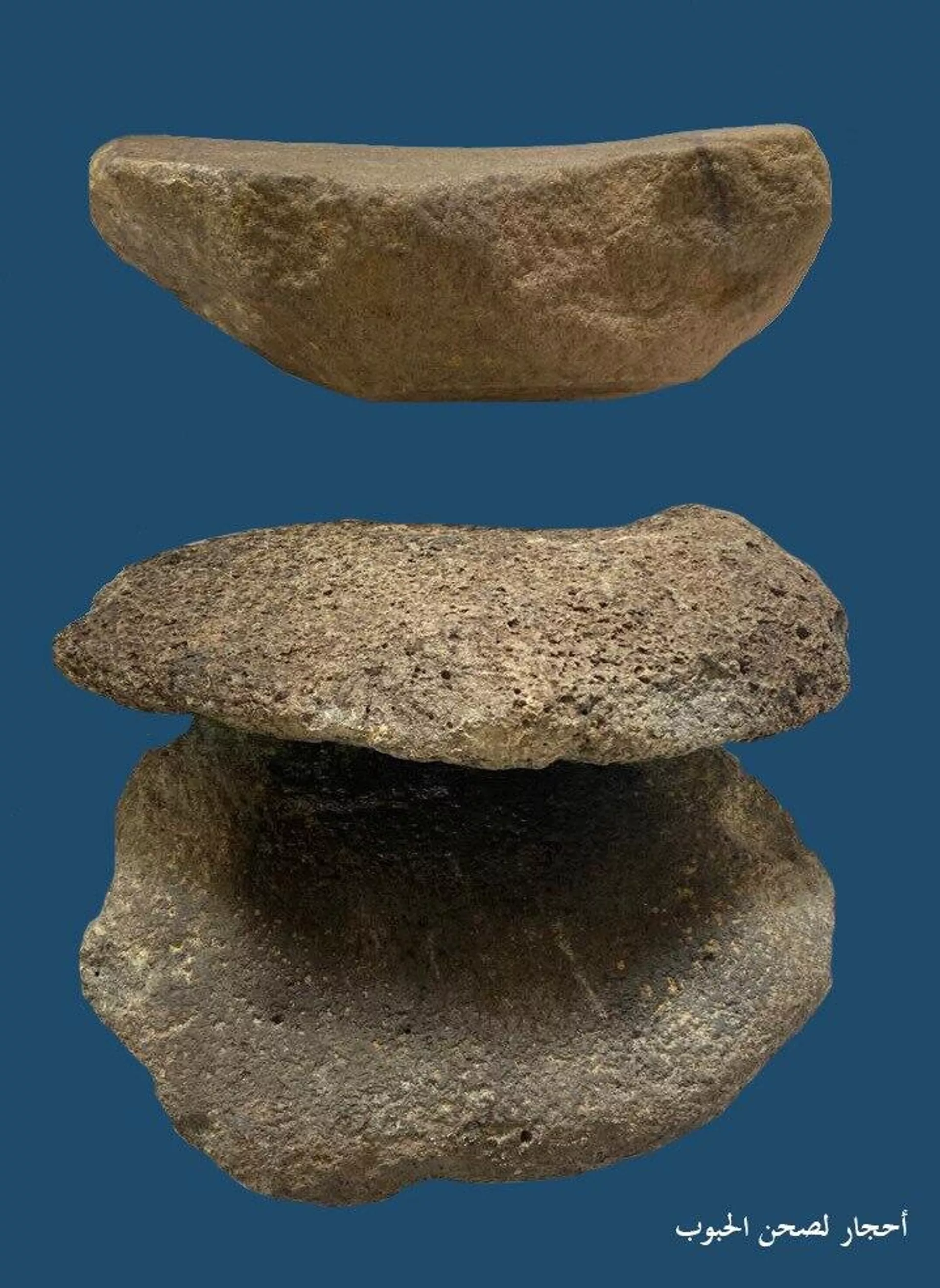 اكتشاف قلعة عسكرية جديدة بسيناء اكتشاف قلعة عسكرية جديدة بسيناء - سبوتنيك عربي, 1920, 11.10.2025