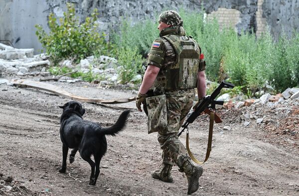 جندي من القوات المسلحة الروسية مع كلب في اتجاه كراسنوارميسك خلال العملية العسكرية الخاصة. جندي من القوات المسلحة الروسية مع كلب في اتجاه كراسنوارميسك خلال العملية العسكرية الخاصة. - سبوتنيك عربي
