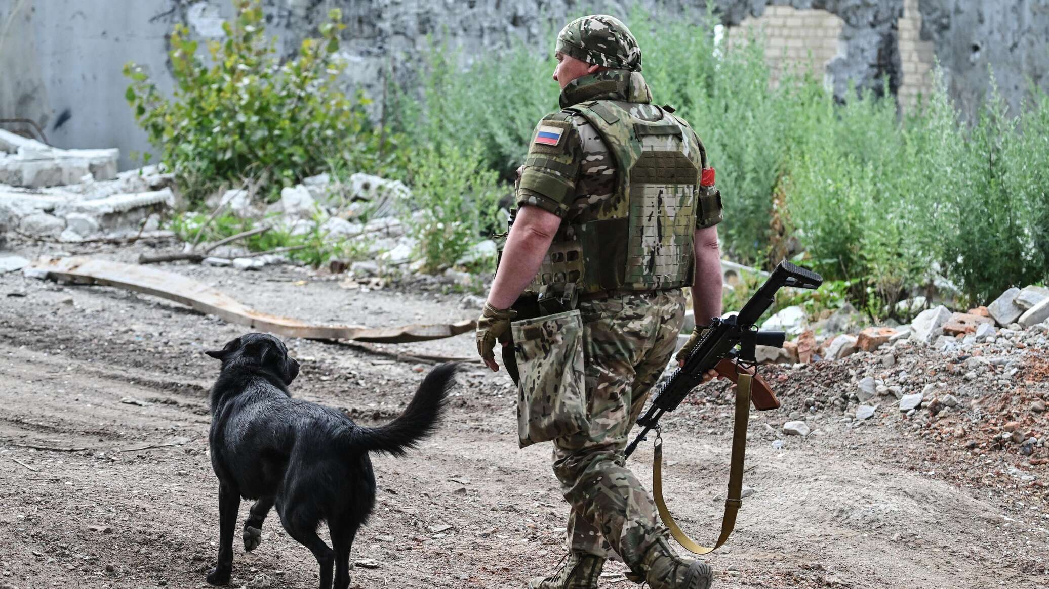 قوات الاستطلاع الروسية تكشف لـ"سبوتنيك" عن الاستعانة بالكلاب والقطط لرصد تحصينات العدو