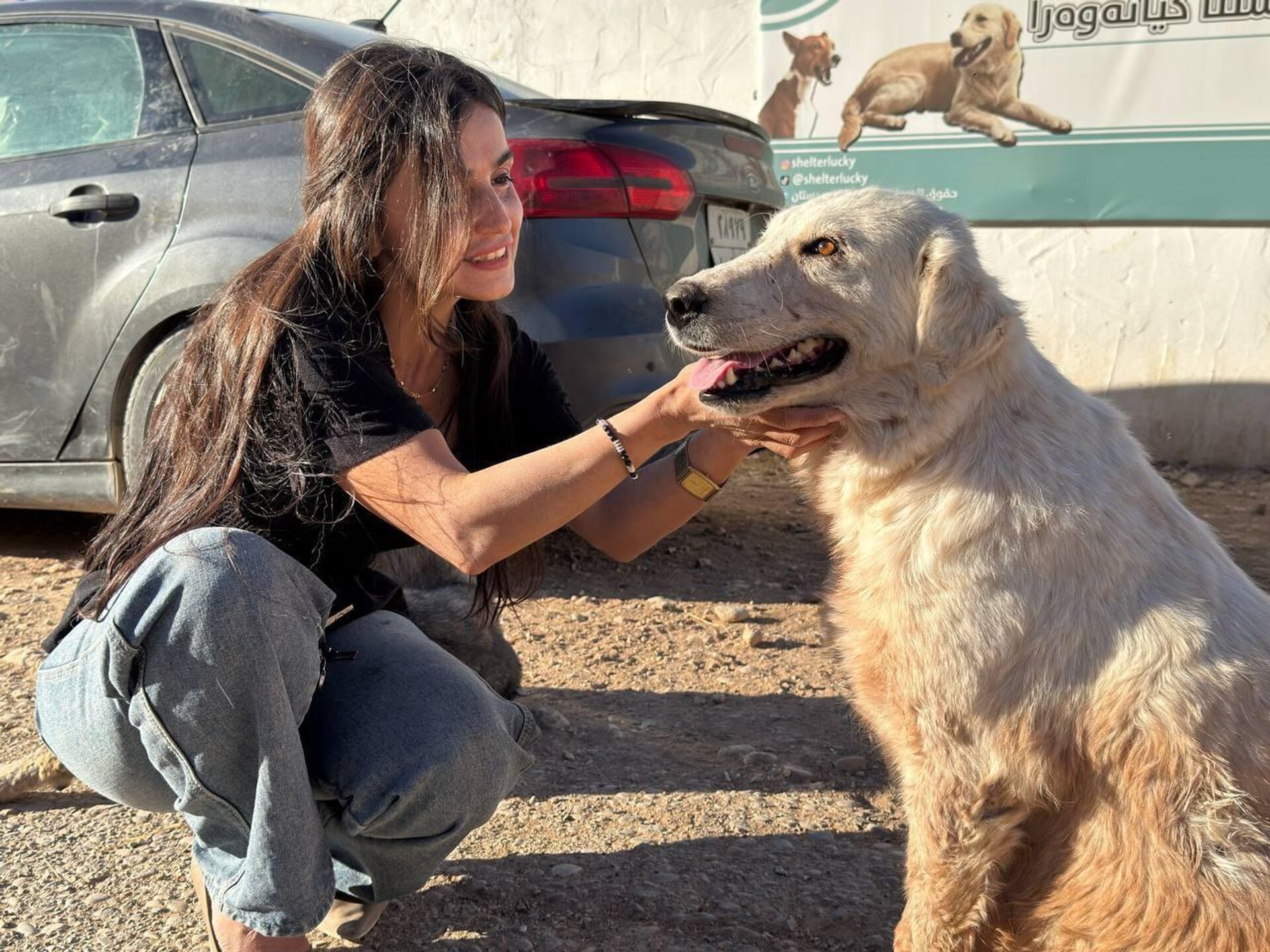 من لاكي إلى ملاذ الرحمة.. قصة امرأة عراقية وهبت حياتها لإنقاذ الحيوانات السائبة - سبوتنيك عربي, 1920, 12.10.2025