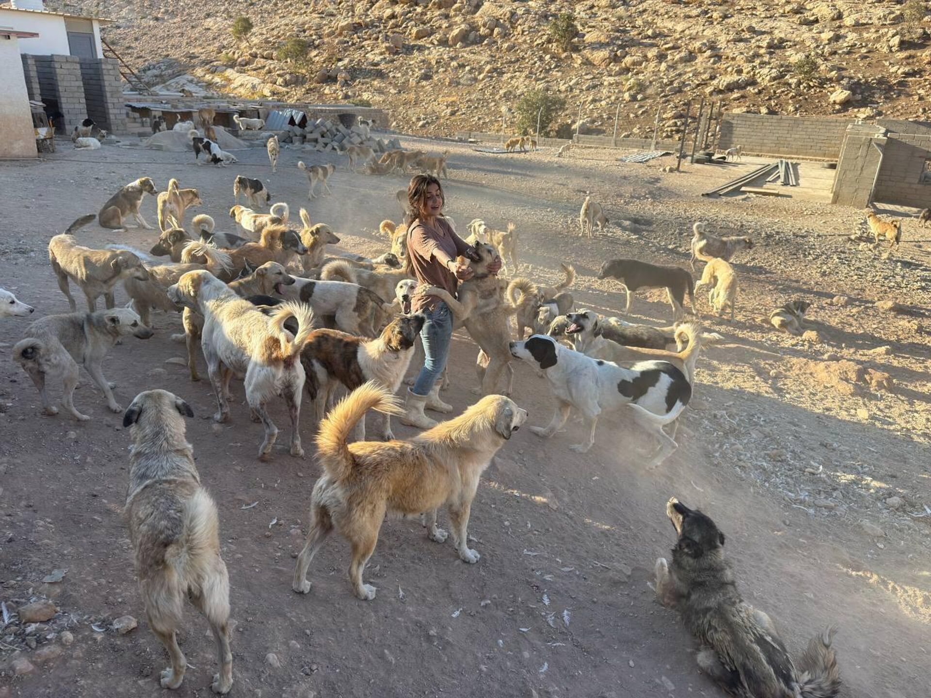 من لاكي إلى ملاذ الرحمة.. قصة امرأة عراقية وهبت حياتها لإنقاذ الحيوانات السائبة - سبوتنيك عربي, 1920, 12.10.2025