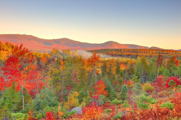 ألوان الخريف تتماهى مع الطبيعة الساحرة  في مقاطعة فرانكلين. - سبوتنيك عربي