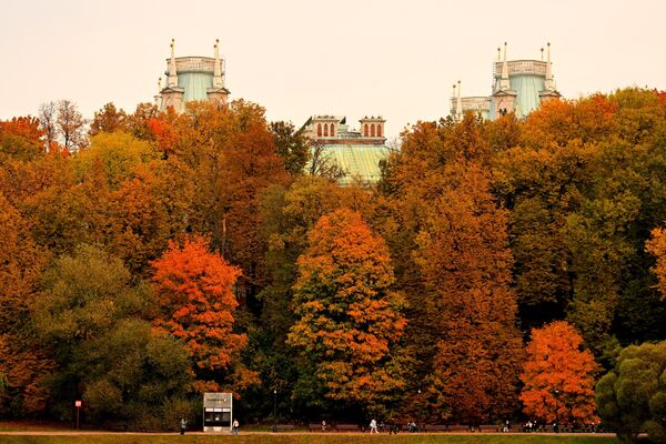  أوراق الشجر الذهبية تغطي حدائق قصر تساريتسينو، مع بلوغ الخريف ذروته في موسكو. - سبوتنيك عربي