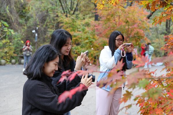  فتيات يلتقطن صورًا لأوراق القيقب الملونة في الخريف في تيانكياوغو ذات المناظر الطبيعية الخلابة في الصين.  - سبوتنيك عربي