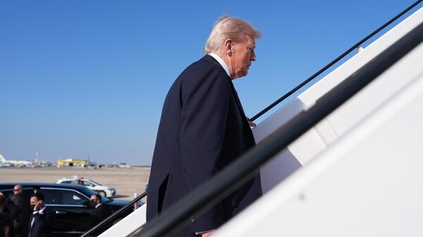 الرئيس الأمريكي دونالد ترامب - سبوتنيك عربي