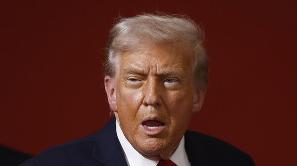 الرئيس الأمريكي دونالد ترامب - سبوتنيك عربي
