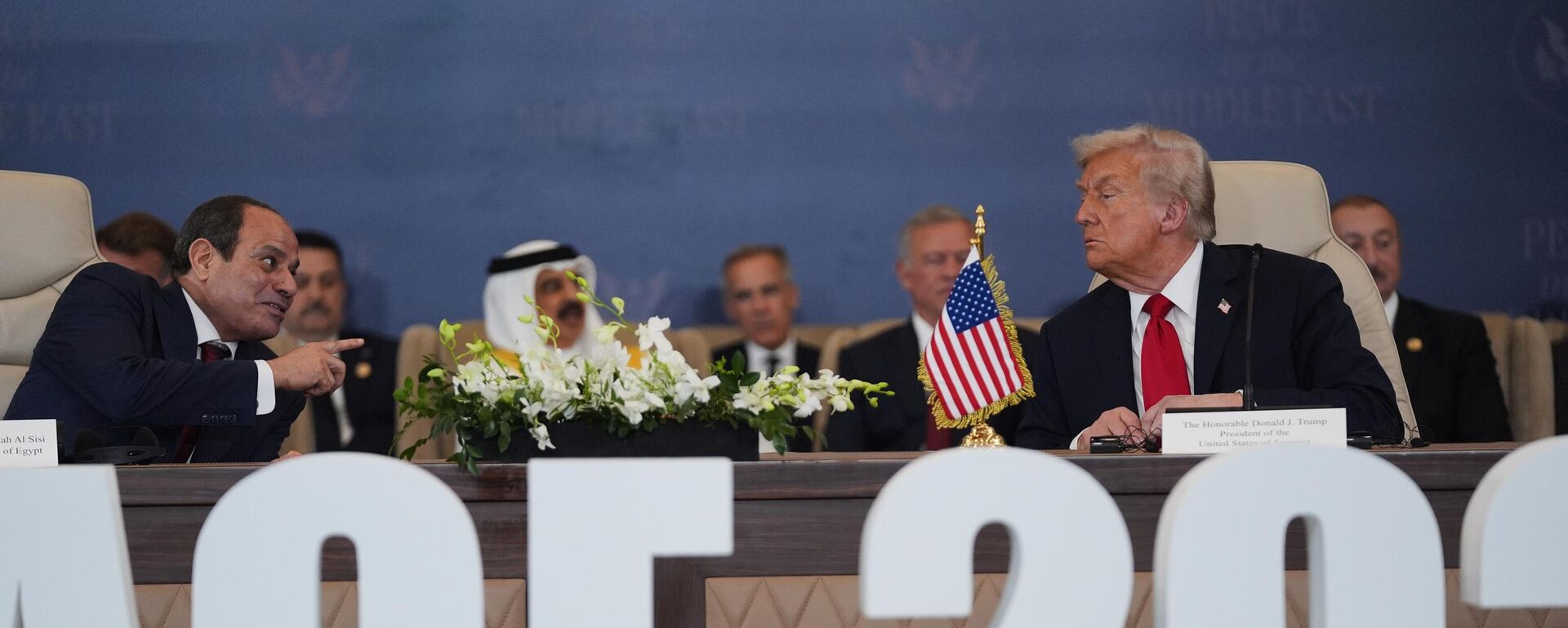 الرئيس المصري عبد الفتاح السيسي ونظيره الأمريكي دونالد ترامب - سبوتنيك عربي, 1920, 14.10.2025