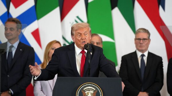  الرئيس الأمريكي دونالد ترامب - سبوتنيك عربي