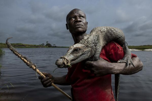 وجوه وشخصيات آسرة -  برايس مع صيده. يقف إيتو برايس مع تمساح قزم اصطاده في مستنقعات محمية بحيرة تيلي المجتمعية، أكبر غابة مستنقعات في المنطقة. الأداة المستخدمة لسحب التماسيح من جحورها هي نبتة ليانا بخطاف. ويسمح بصيد التماسيح في المحمية للاستهلاك المحلي، لكن بيعها دون ترخيص محظور. محمية بحيرة تيلي المجتمعية (جمهورية الكونغو) توماس نيكولون - سبوتنيك عربي