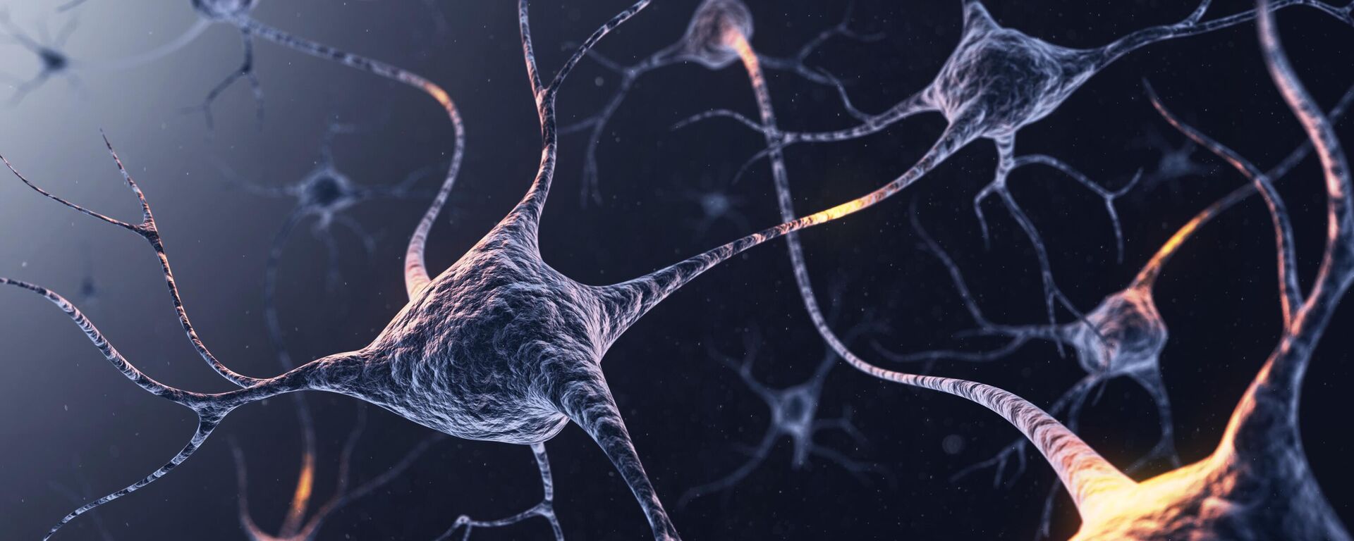 علماء روس يطورون أول عصبون اصطناعي لدراسة نشاط الدماغ لدى الإنسان - سبوتنيك عربي, 1920, 14.10.2025