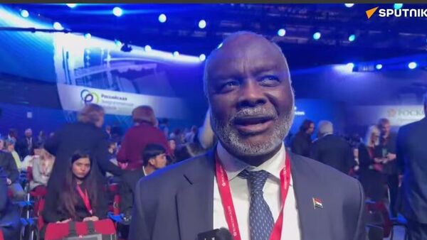 وزير المالية والتخطيط الاقتصادي في السودان، الدكتور جبريل إبراهيم محمد - سبوتنيك عربي