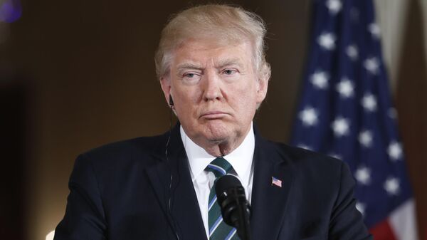 الرئيس الأمريكي دونالد ترامب - سبوتنيك عربي