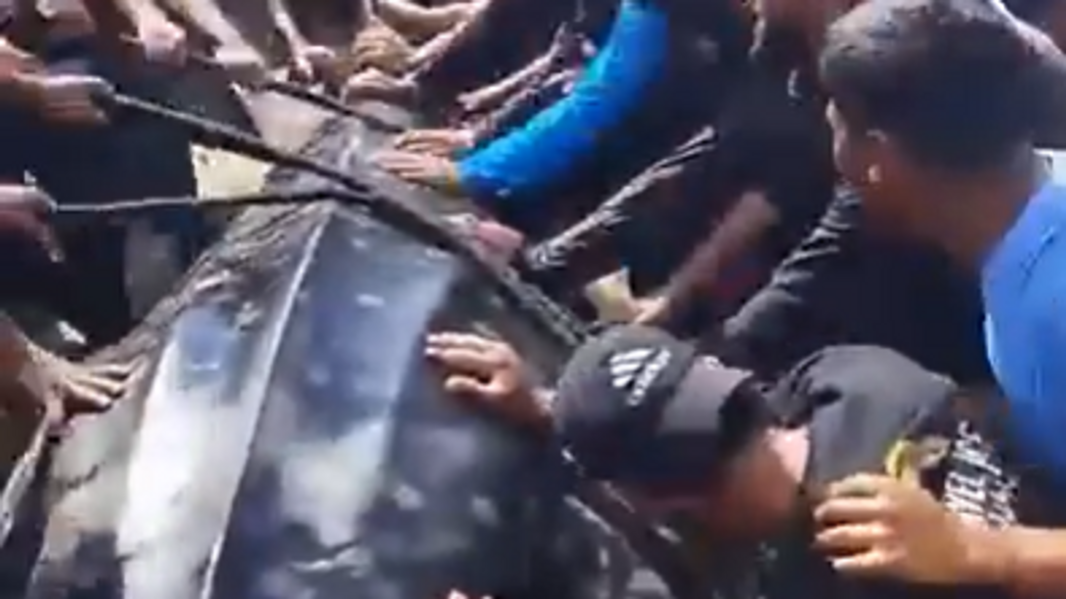 "هدية من الله" لأبناء غزة بوزن 2 طن.. وغضب في إسرائيل... فيديو