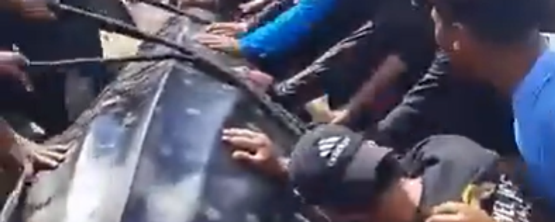 هدية من الله لأبناء غزة بوزن 2 طن.. وغضب في إسرائيل - سبوتنيك عربي, 1920, 18.10.2025