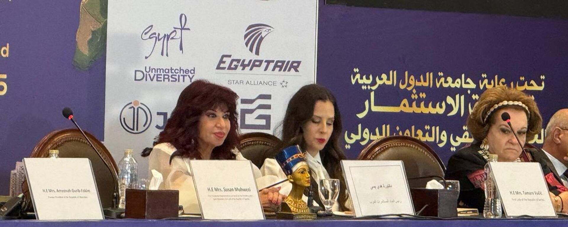 كلمة السيدة الأولى لصربيا  خلال قمة الاستثمار العربي الأفريقي في العاصمة المصرية القاهرة - سبوتنيك عربي, 1920, 19.10.2025