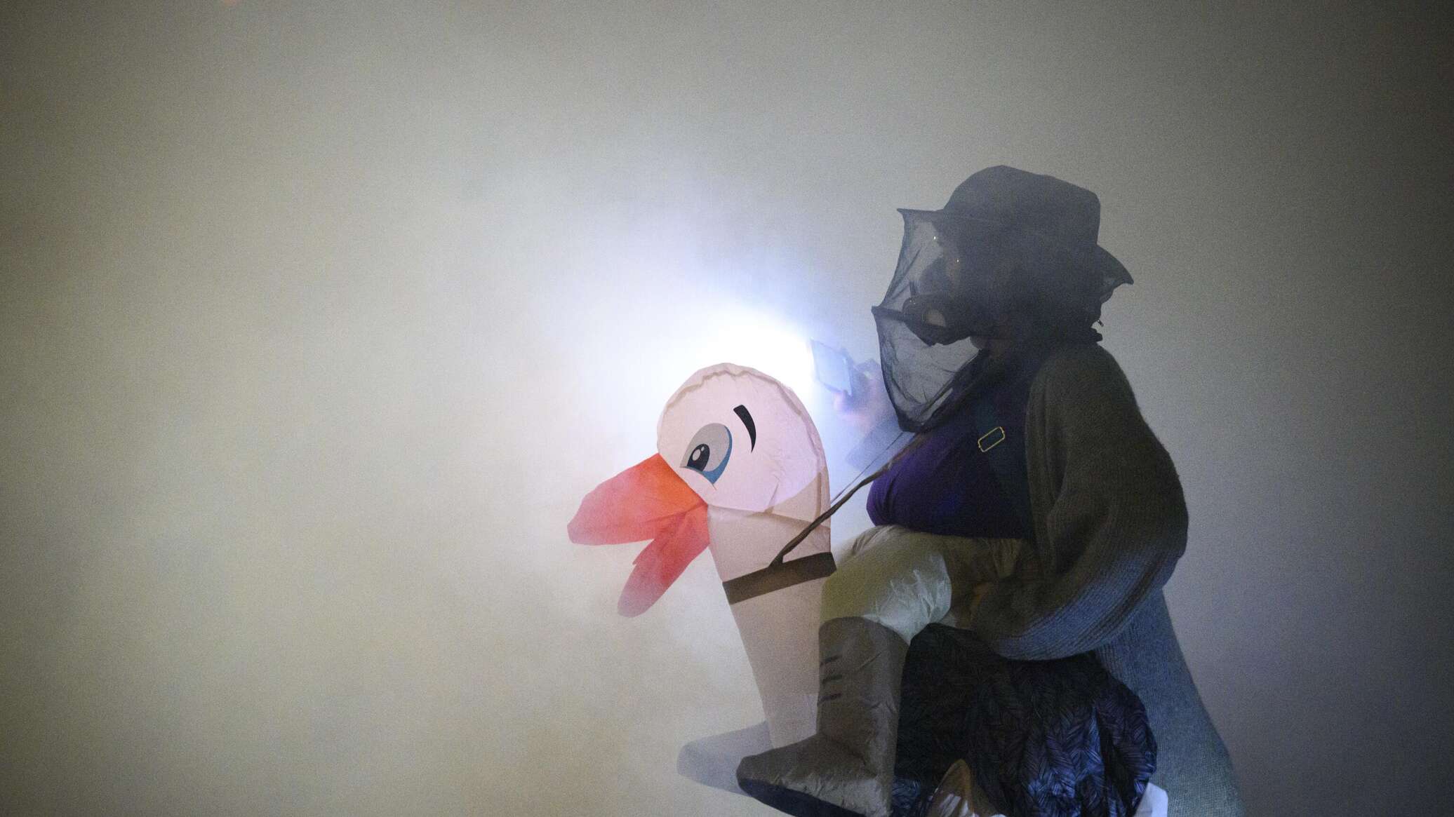 "لا للملوك"... صور من الاحتجاجات في أمريكا