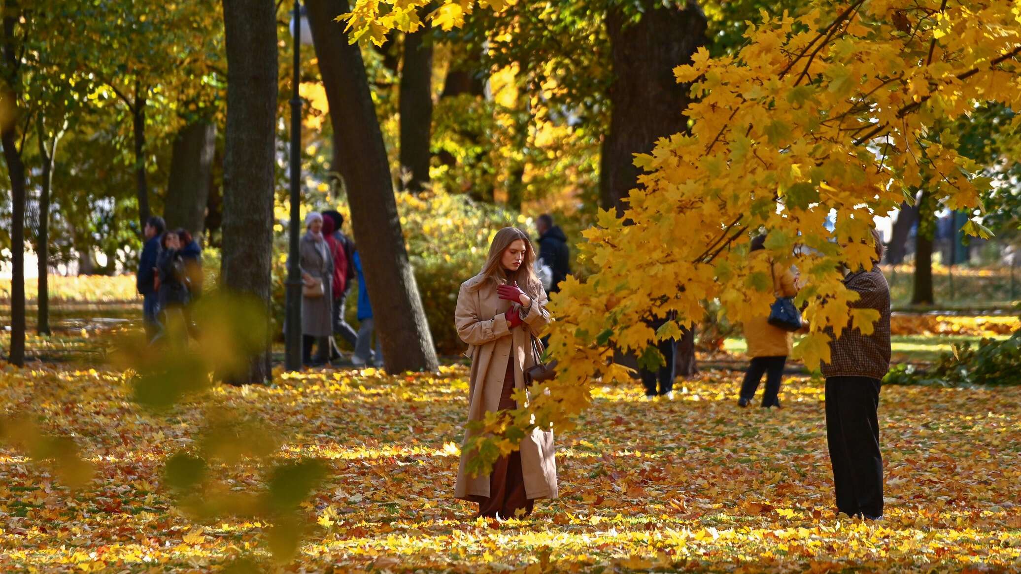 ألوان "الخريف الذهبي" تزين حدائق سان بطرسبورغ