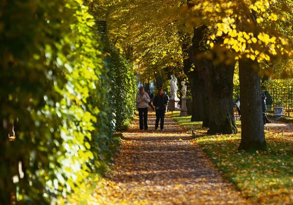 زوار حديقة "الصيف" في سان بطرسبورغ. زوار حديقة "الصيف" في سان بطرسبورغ. - سبوتنيك عربي