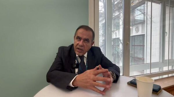  مؤسس ومدير مركز القدس للدراسات السياسية، عريب الرنتاوي - سبوتنيك عربي