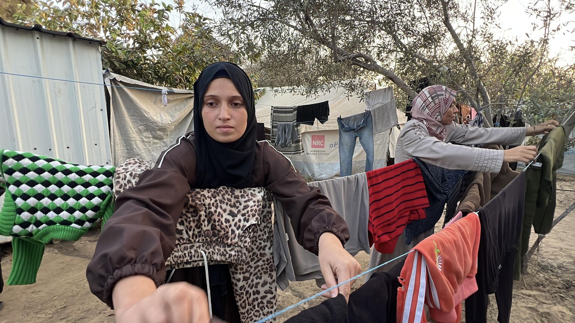 فرحة النجاح والتفوق في الثانوية العامة تنتصر على معاناة عائلة الطبيب الأسير ناهض أبو طعيمة فرحة النجاح والتفوق في الثانوية العامة تنتصر على معاناة عائلة الطبيب الأسير ناهض أبو طعيمة - سبوتنيك عربي, 1920, 22.10.2025