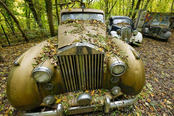 سيارة قديمة في موقف سيارات قديم خاص في ميتمان، ألمانيا - سبوتنيك عربي