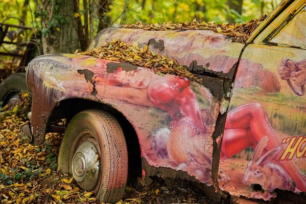 سيارة قديمة في موقف سيارات قديم خاص في ميتمان، ألمانيا - سبوتنيك عربي