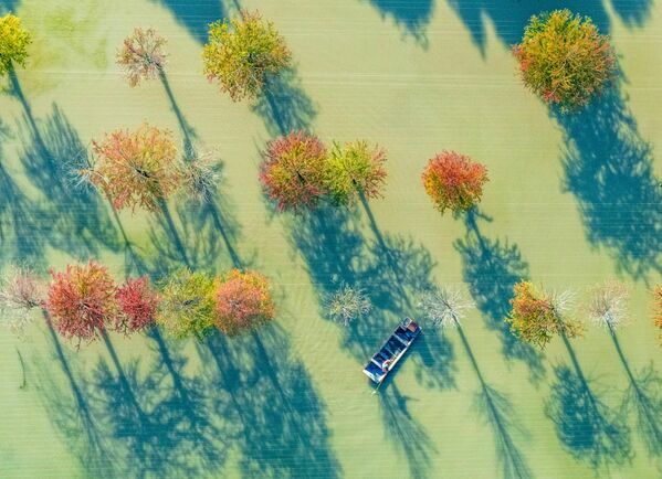  مزارعون يستقلون قوارب للتحقق من نمو السرطانات في قاعدة تربية السرطانات في غابة التنوب المائية في  الصين. - سبوتنيك عربي