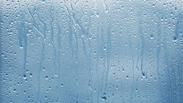 الرطوبة  - سبوتنيك عربي