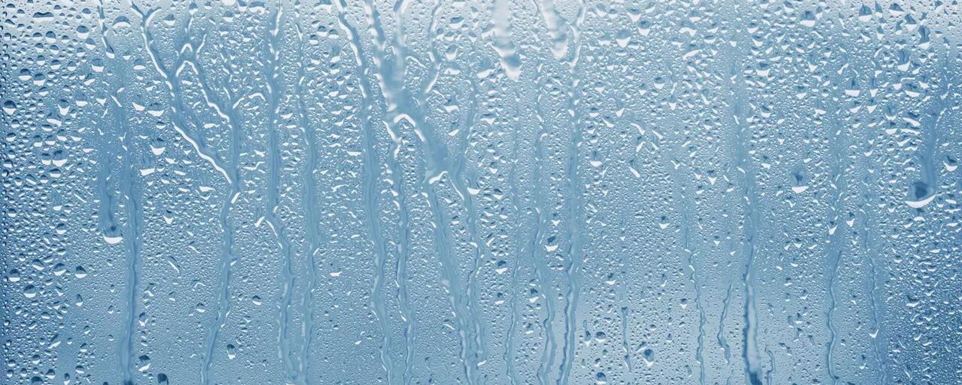 الرطوبة  - سبوتنيك عربي, 1920, 24.10.2025