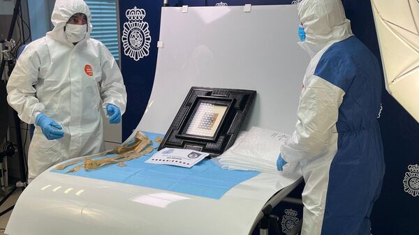 الشرطة الإسبانية تستعيد لوحة مفقودة لبيكاسو - سبوتنيك عربي