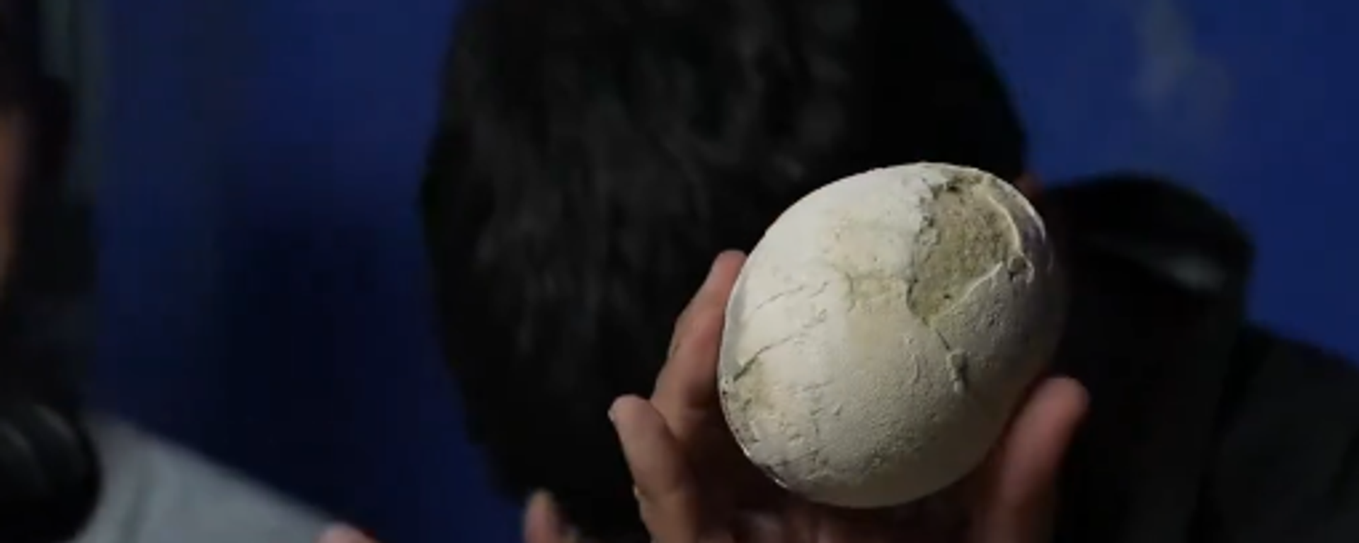 إكتشاف بيضة ديناصور بحالة مذهلة في الأرجنتين - سبوتنيك عربي, 1920, 24.10.2025