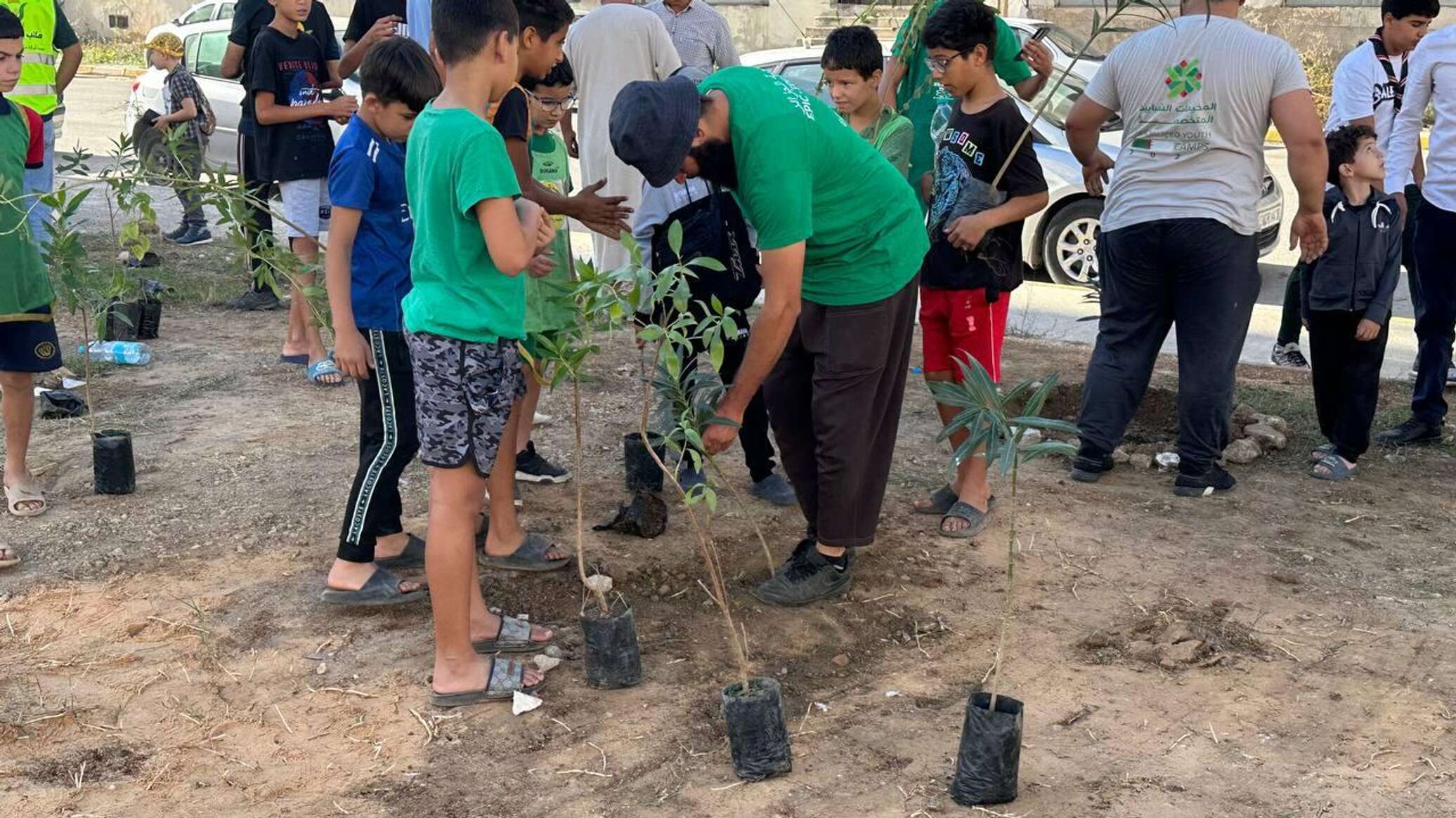 مليون شجرة في 24 ساعة... الجزائر تشهد حملة تشجير ضخمة... صور وفيديو