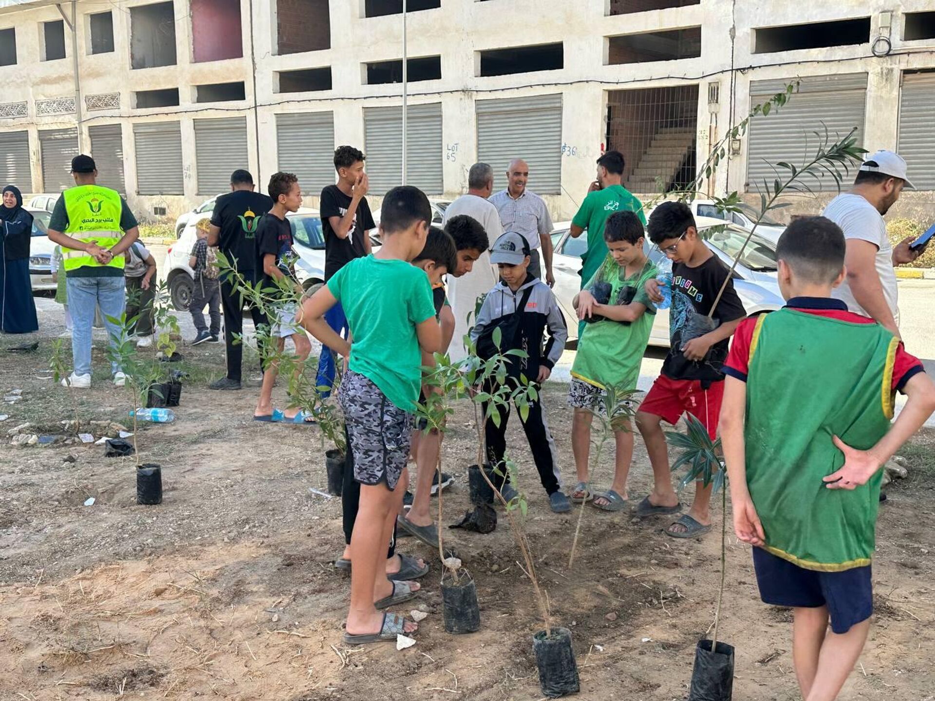 مليون شجرة في 24 ساعة... الجزائر تشهد حملة تشجير ضخمة. - سبوتنيك عربي, 1920, 25.10.2025