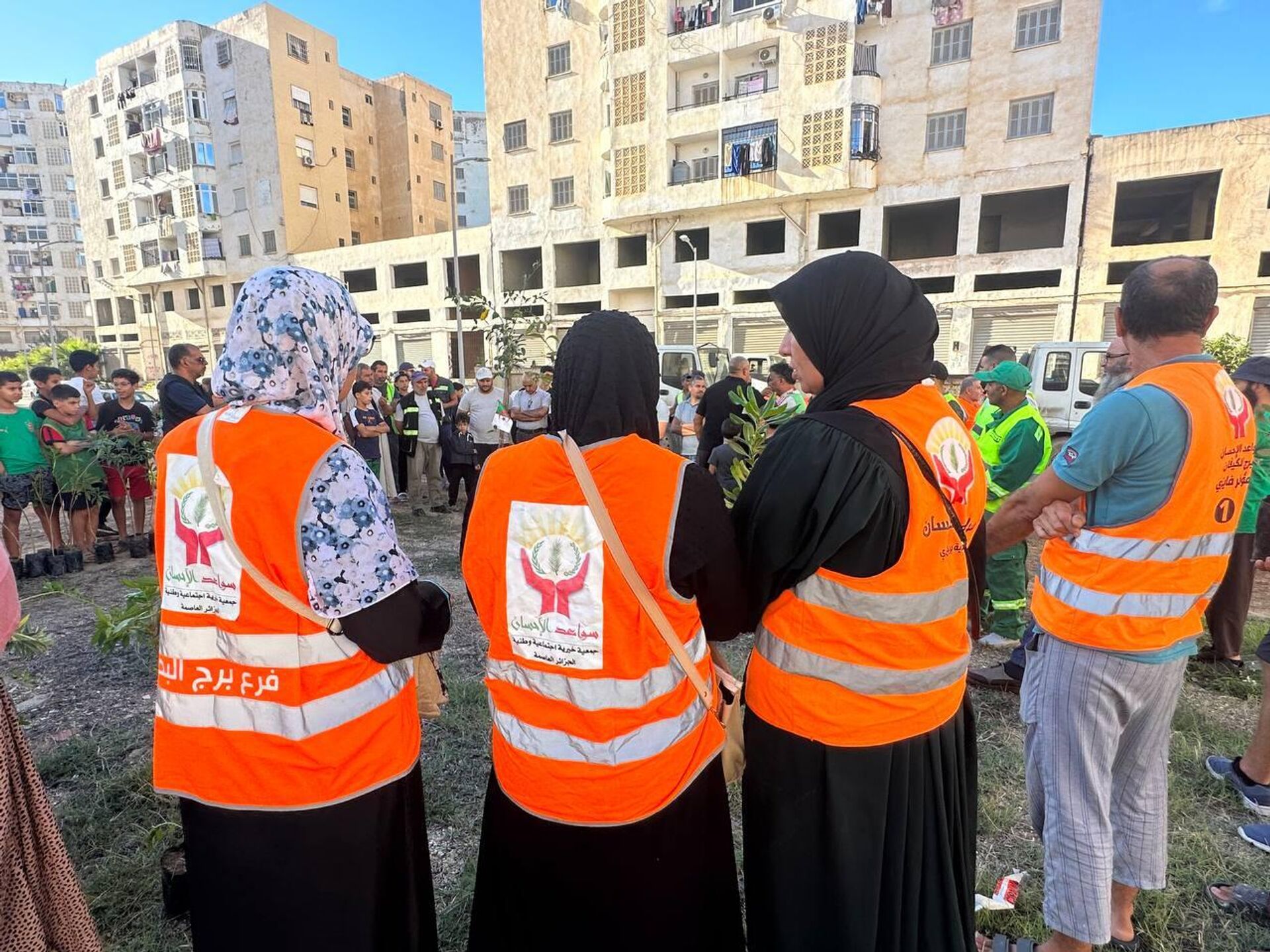 مليون شجرة في 24 ساعة... الجزائر تشهد حملة تشجير ضخمة. - سبوتنيك عربي, 1920, 25.10.2025