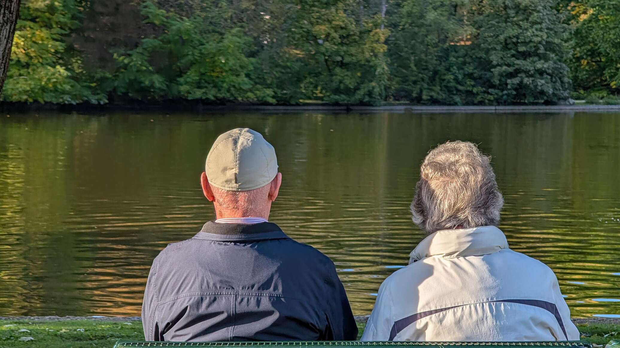 هل يمكن لزراعة الأعضاء أن تمنح الشباب الدائم؟... هذا ما يقوله العلم