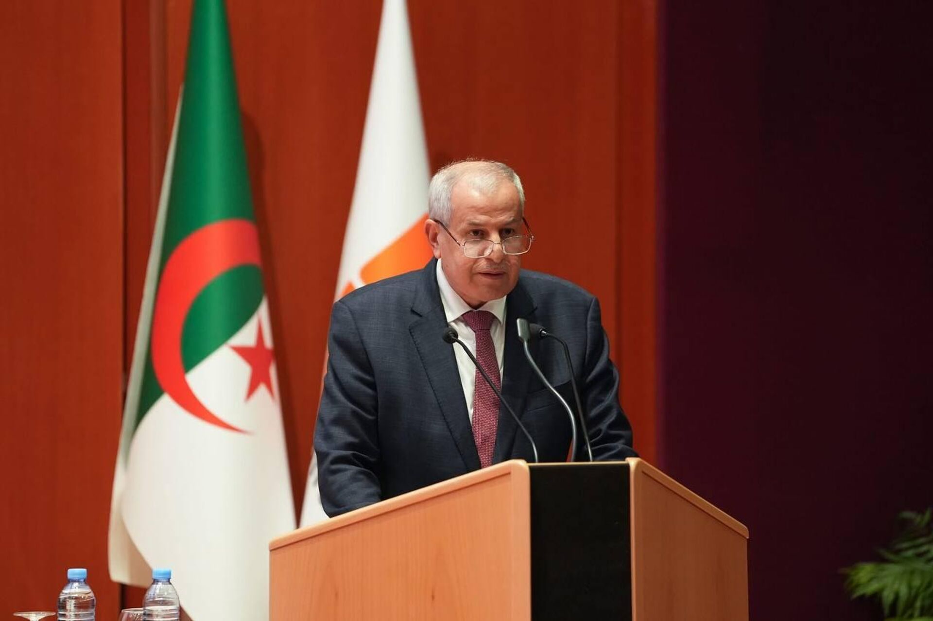 الجزائر توقع اتفاقيات شراكة تمتد لثلاثين سنة مع السعودية وتتعاون من دول الساحل - سبوتنيك عربي, 1920, 26.10.2025