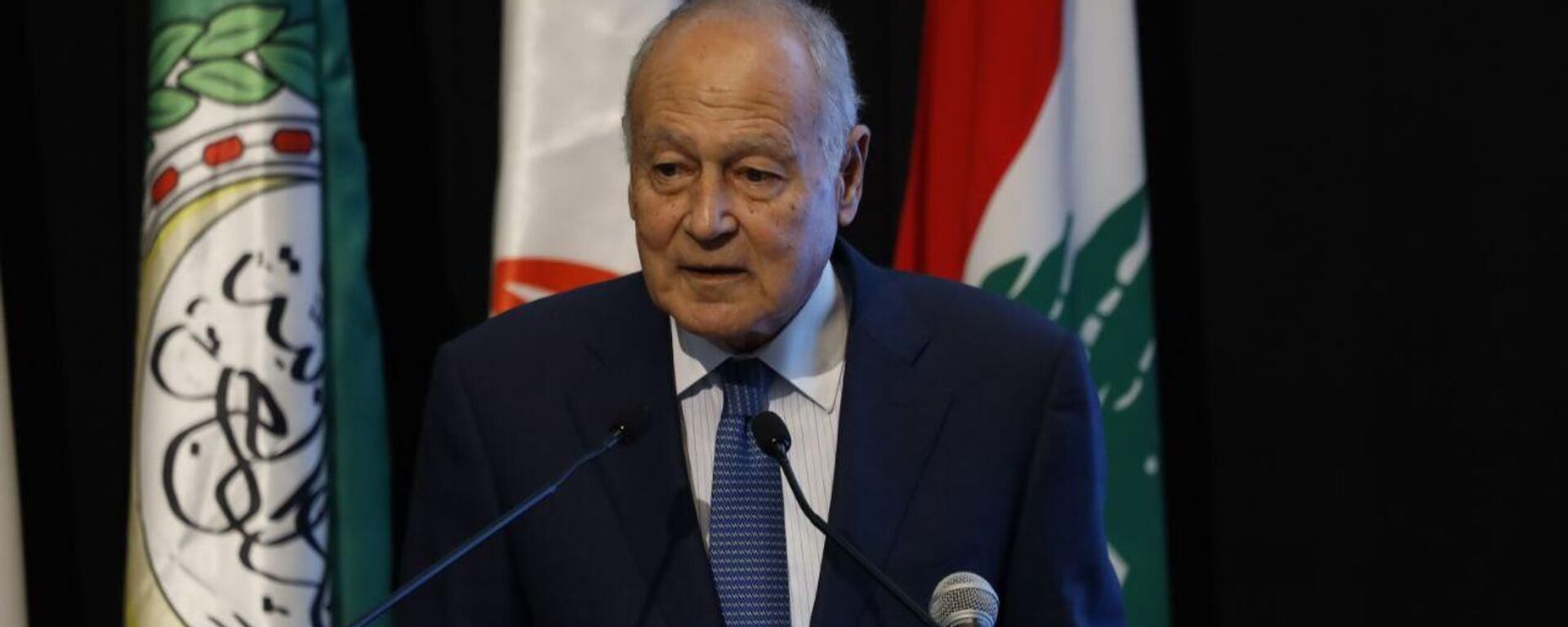 أحمد أبو الغيط - سبوتنيك عربي, 1920, 15.02.2026