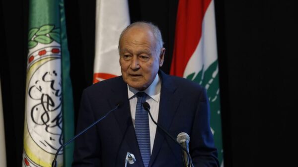 أحمد أبو الغيط - سبوتنيك عربي