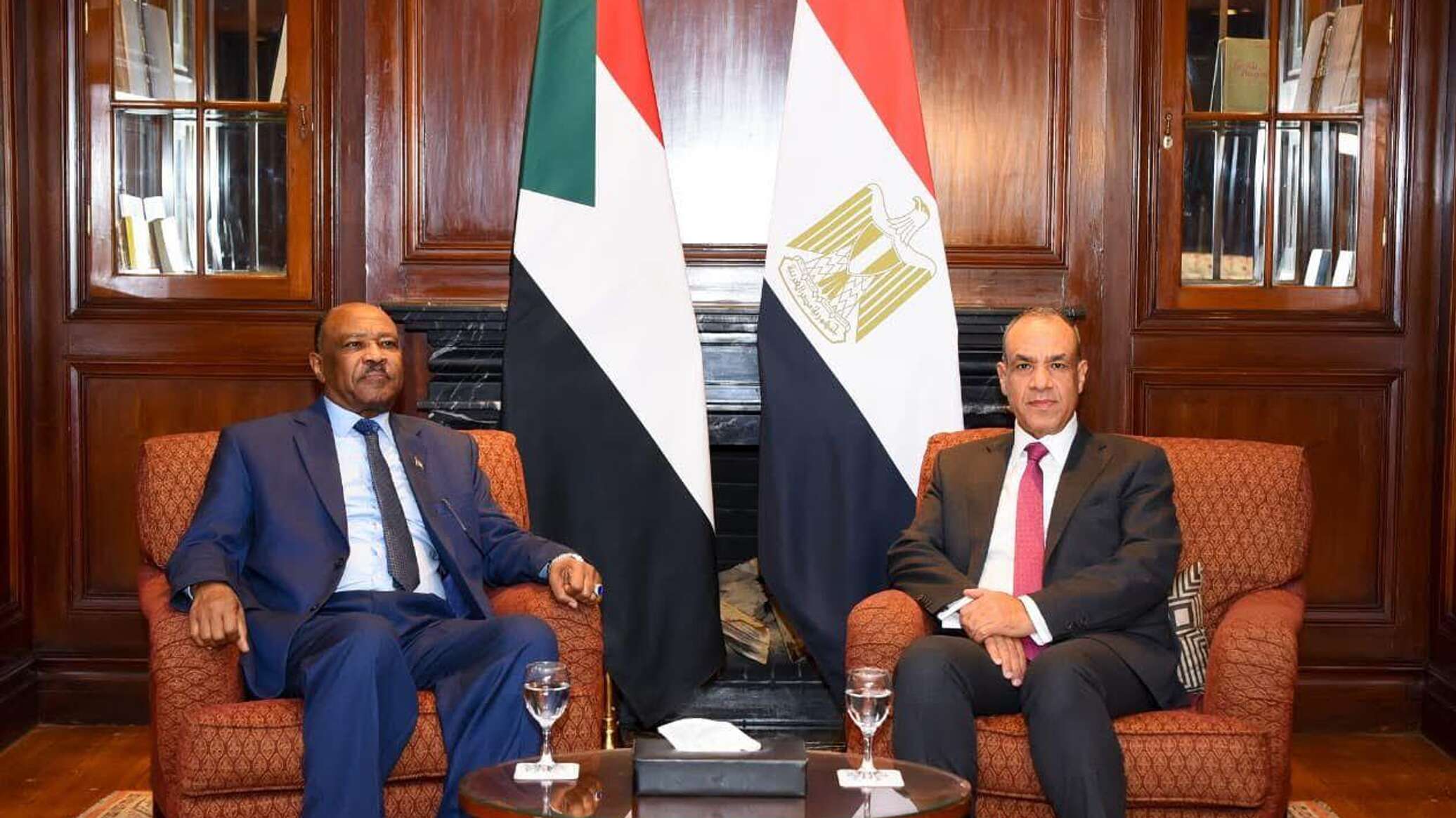 وزير الخارجية المصري يؤكد ضرورة إقرار هدنة إنسانية شاملة في السودان