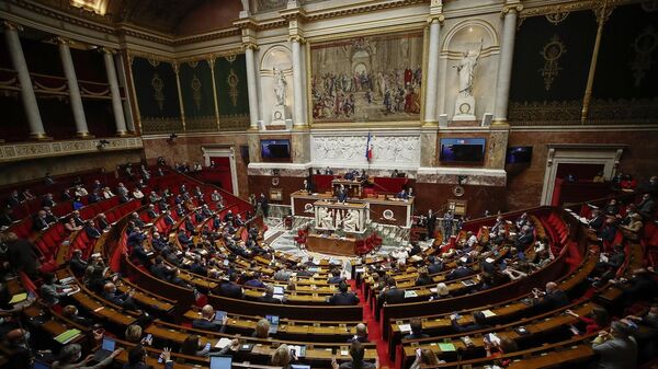 البرلمان الفرنسي - سبوتنيك عربي