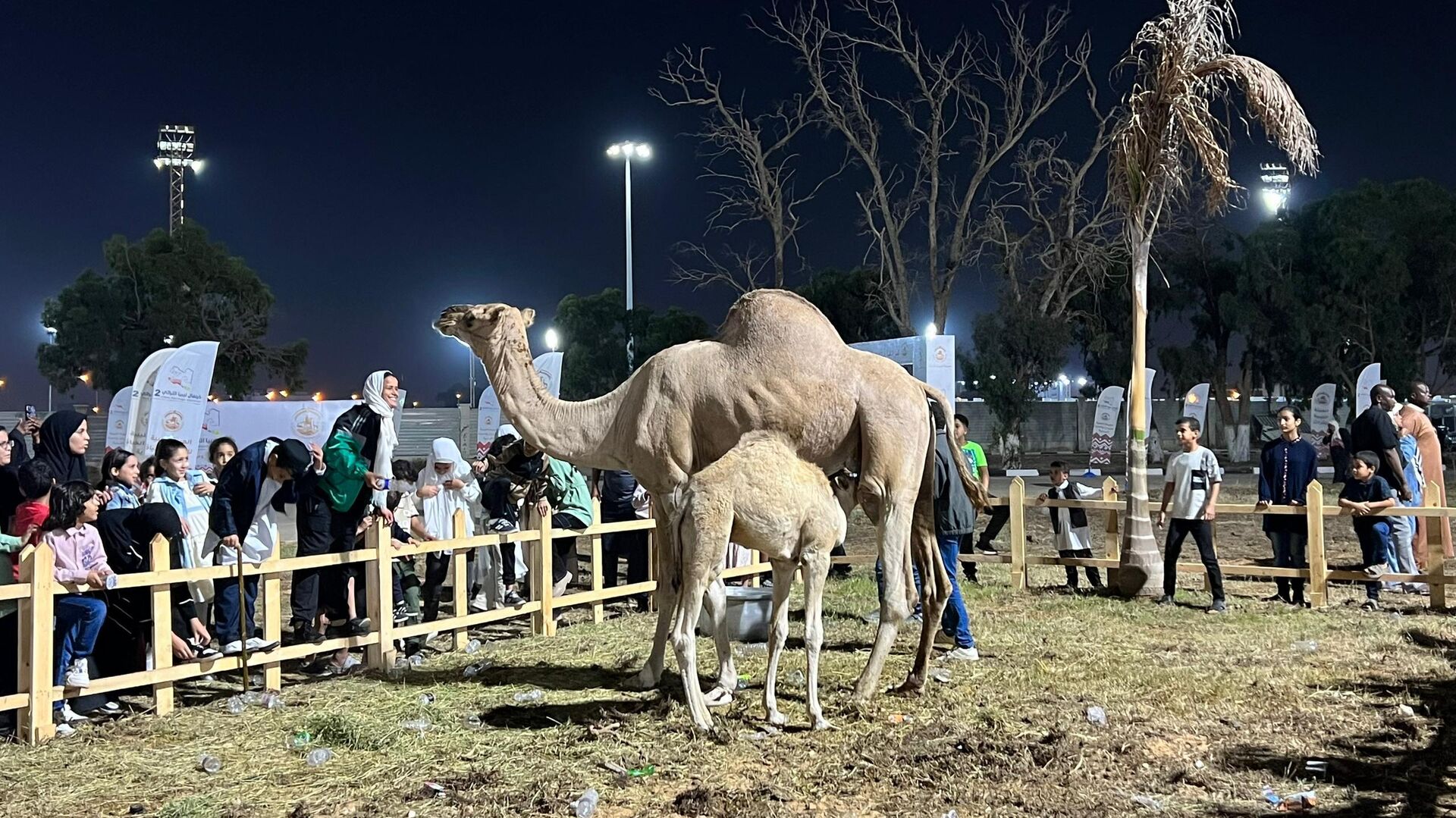 اختتام كرنفال ليبيا التراثي في بنغازي وسط حضور شعبي واسع - سبوتنيك عربي, 1920, 30.10.2025