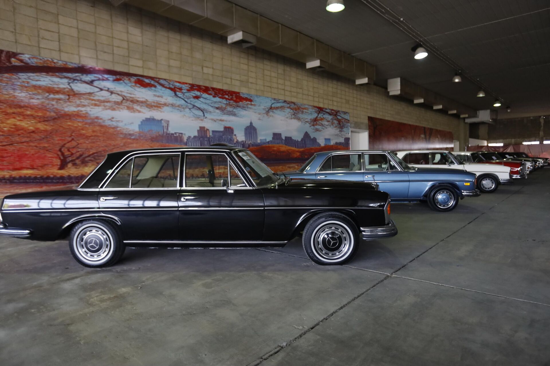 طرابلس تستحضر ذاكرة الزمن الجميل في معرض السيارات الكلاسيكية - سبوتنيك عربي, 1920, 03.11.2025