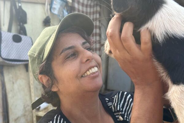 هيفاء رزاقي لـسبوتنيك: حلمي فتح مركز إيواء لكل الكلاب الضالة في الجزائر هيفاء رزاقي لـسبوتنيك: حلمي فتح مركز إيواء لكل الكلاب الضالة في الجزائر - سبوتنيك عربي