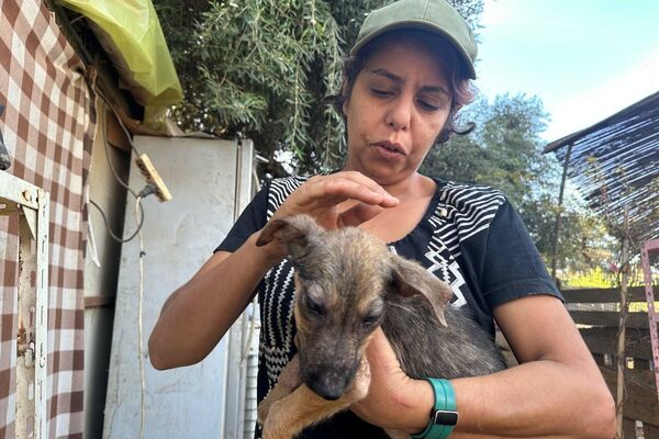 هيفاء رزاقي لـسبوتنيك: حلمي فتح مركز إيواء لكل الكلاب الضالة في الجزائر هيفاء رزاقي لـسبوتنيك: حلمي فتح مركز إيواء لكل الكلاب الضالة في الجزائر - سبوتنيك عربي